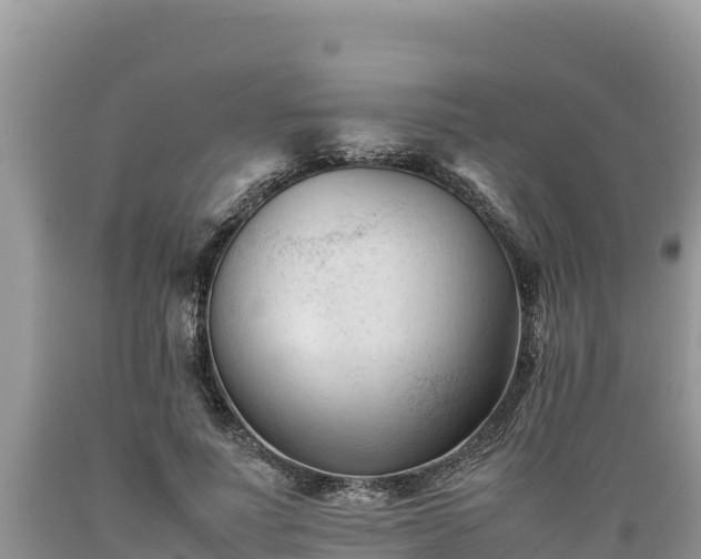 X0000089350691200706221139