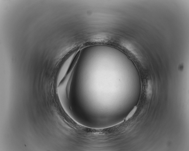 X0000089350692200706221139