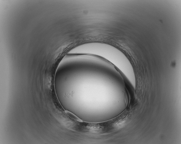 X0000089350693200706221139