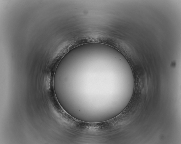 X0000089350694200706221139