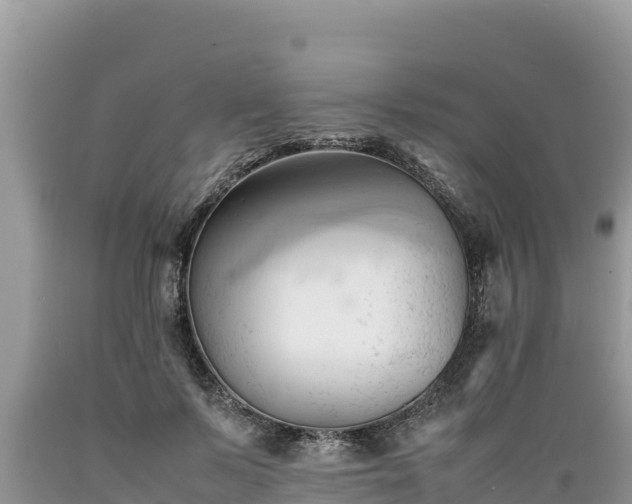 X0000089350695200706221139