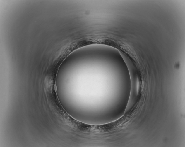 X0000089350697200706221139