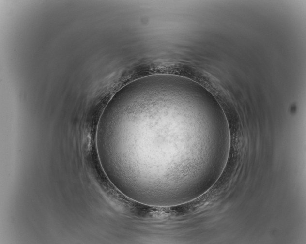 X0000089350703200706221139
