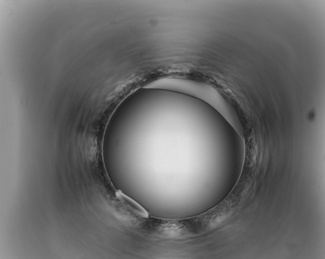 X0000089350704200706221139