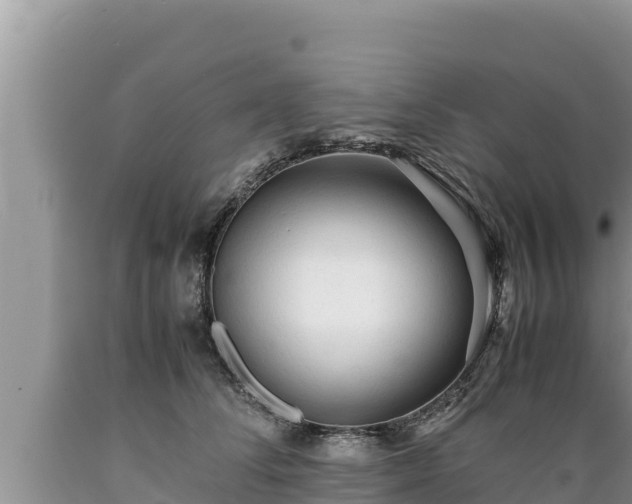 X0000089350708200706221139