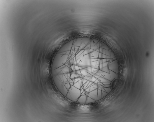 X0000089350710200706221138