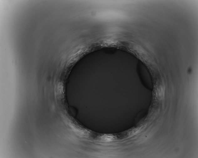 X0000089350711200706221138