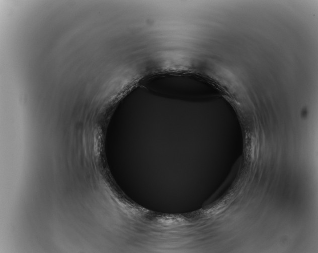X0000089350712200706221138