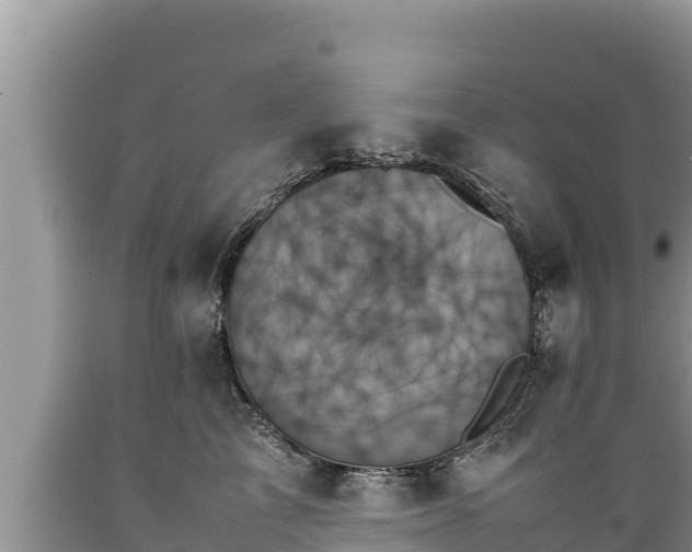 X0000089350713200706221138