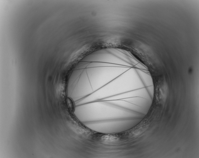 X0000089350714200706221138