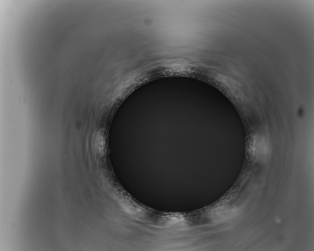 X0000089350715200706221138