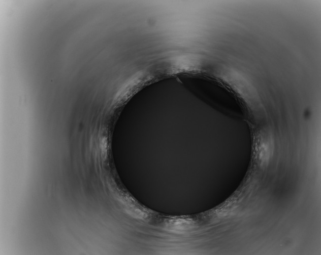 X0000089350716200706221138