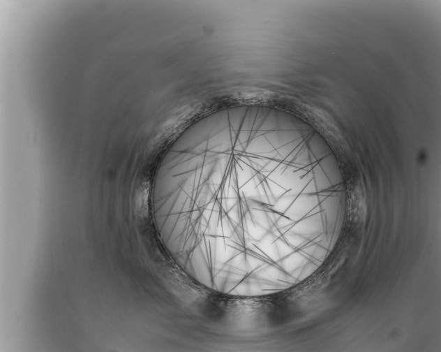 X0000089350717200706221138