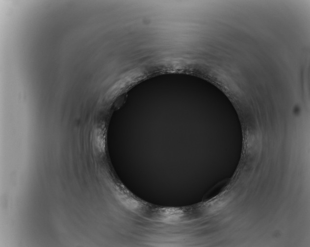 X0000089350719200706221138