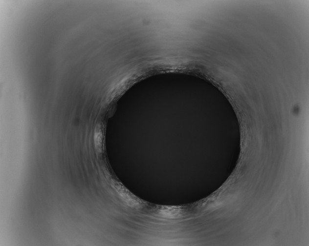 X0000089350720200706221138
