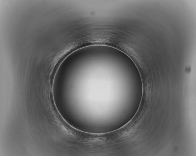 X0000089350721200706221138