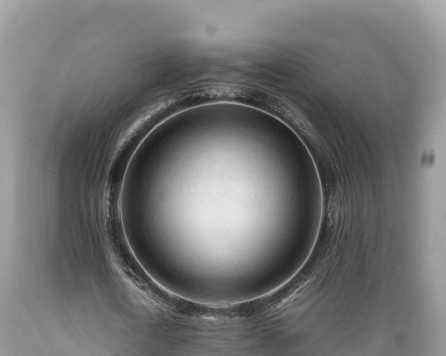 X0000089350722200706221138