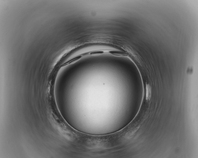 X0000089350723200706221138