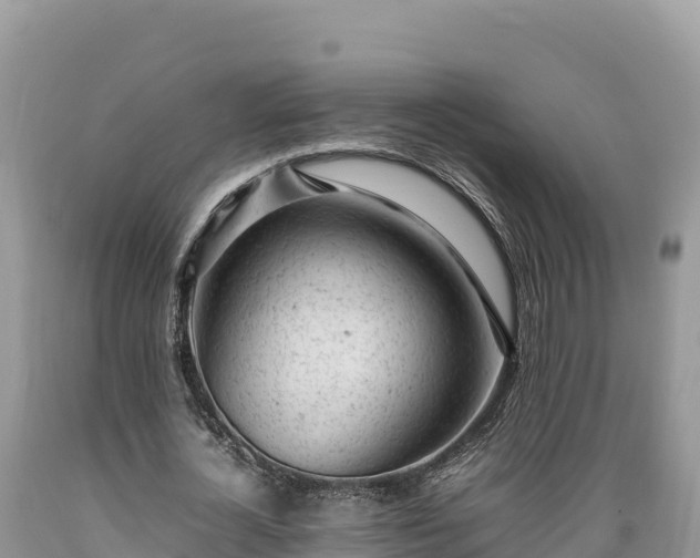 X0000089350724200706221138