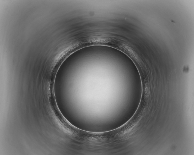 X0000089350725200706221138