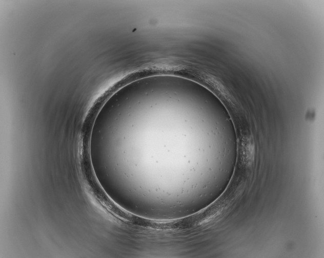 X0000089350726200706221138