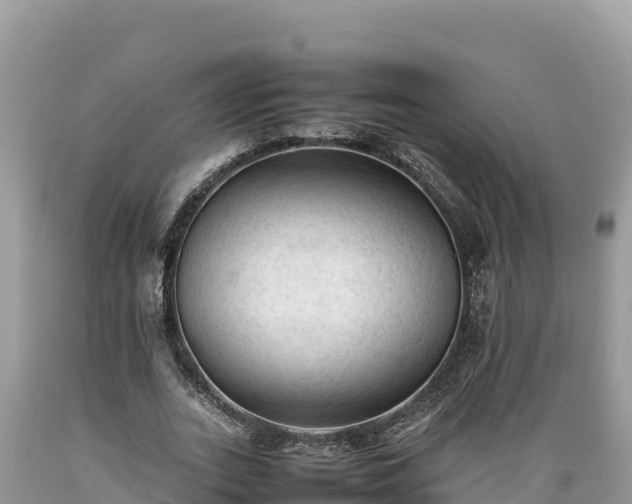 X0000089350727200706221138
