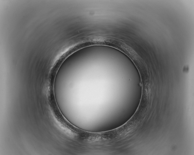 X0000089350728200706221138