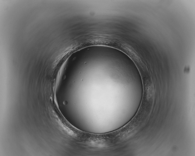 X0000089350729200706221138