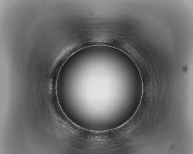 X0000089350731200706221138