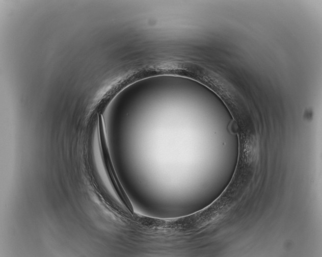 X0000089350732200706221138