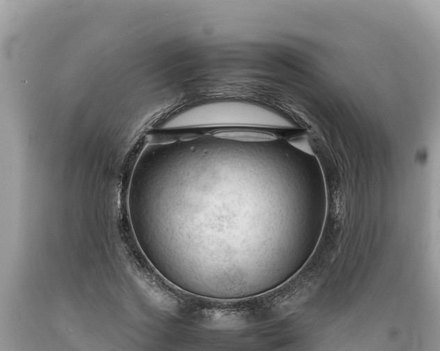 X0000089350733200706221138