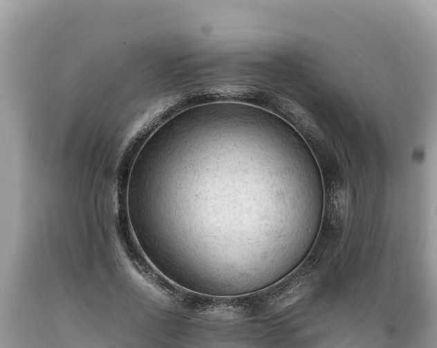 X0000089350734200706221138