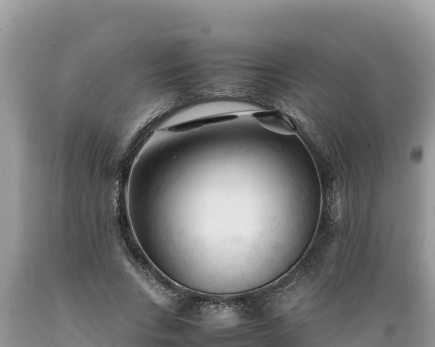 X0000089350735200706221138