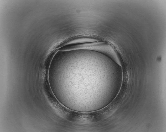 X0000089350736200706221138