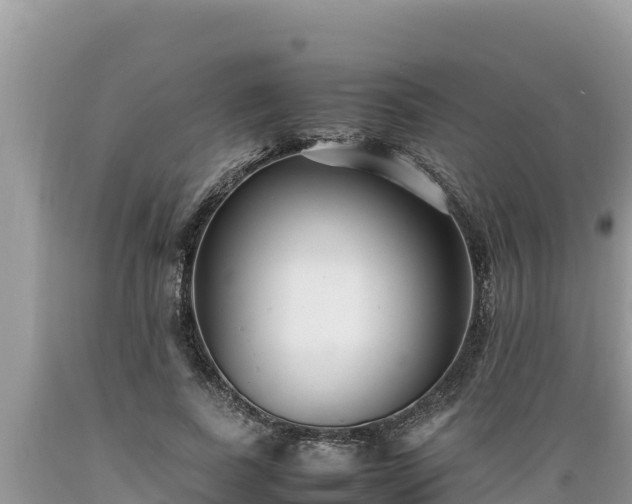 X0000089350739200706221138