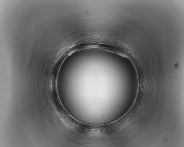 X0000089350740200706221138