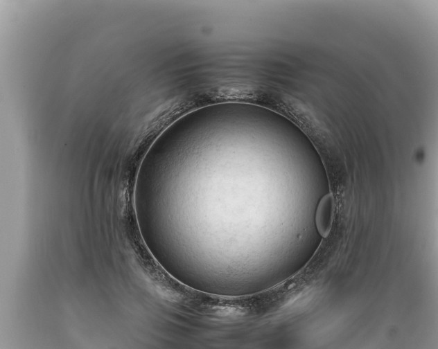 X0000089350741200706221138