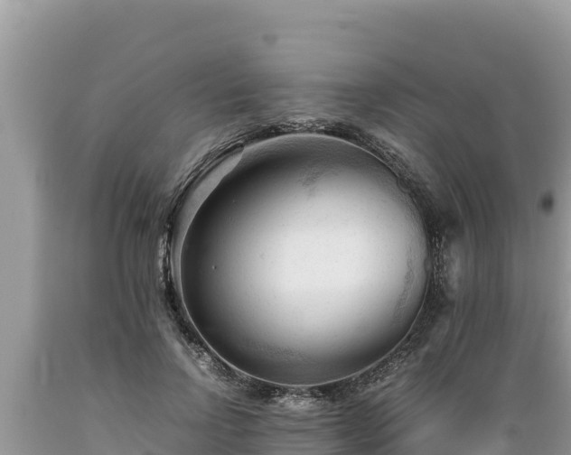 X0000089350742200706221138