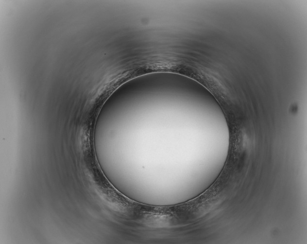X0000089350743200706221138
