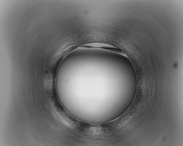 X0000089350744200706221138
