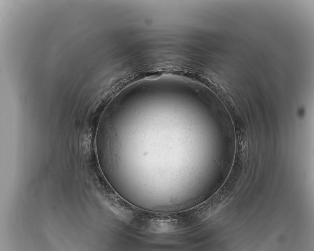 X0000089350745200706221138