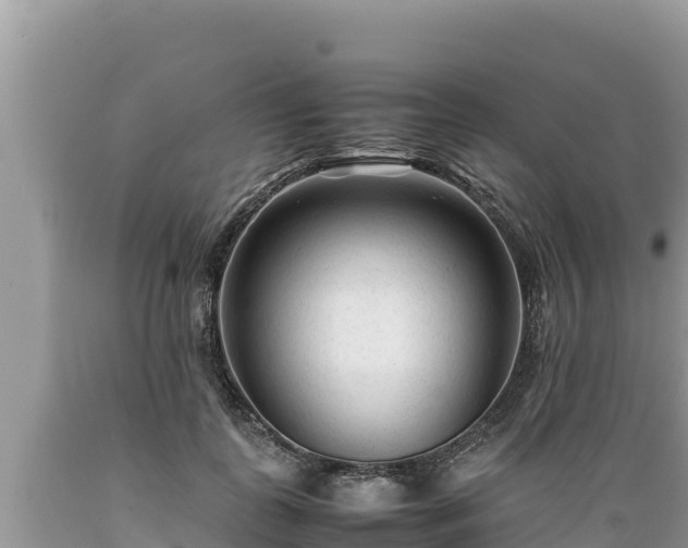 X0000089350747200706221138