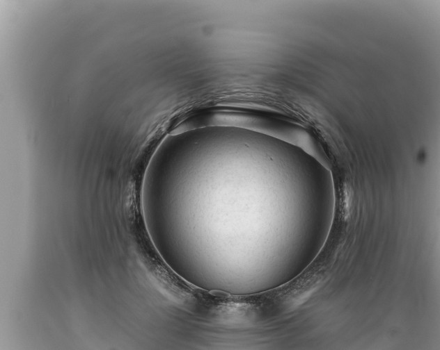 X0000089350748200706221138