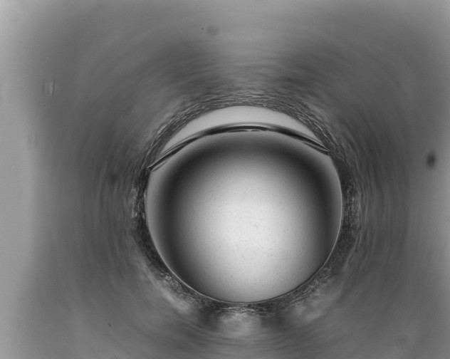 X0000089350750200706221138