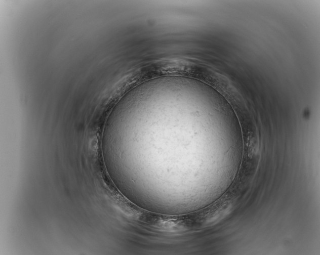 X0000089350753200706221138
