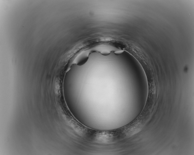 X0000089350754200706221138