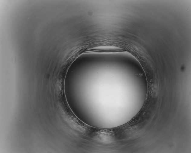 X0000089350756200706221138