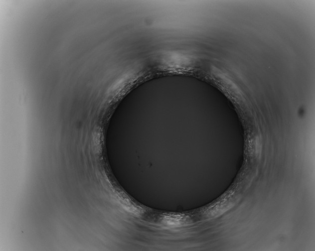 X0000089350757200706221138