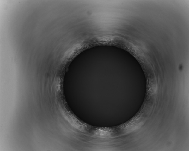 X0000089350758200706221138