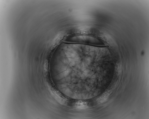 X0000089350760200706221138